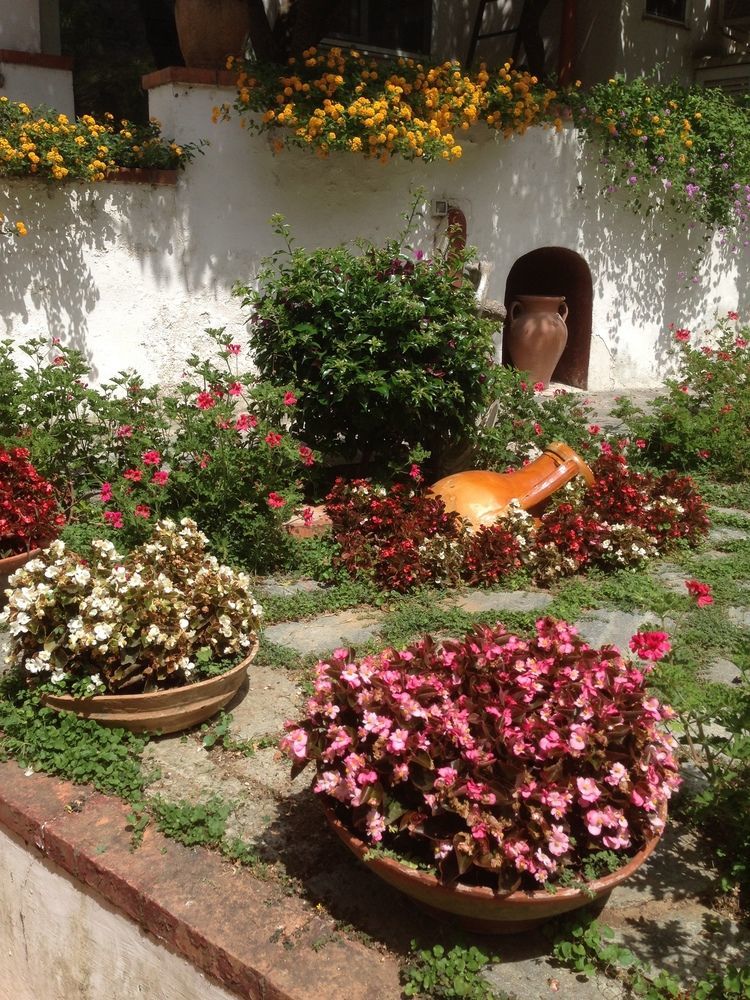 Mediterraneo Bed & Breakfast Anacapri  Exteriör bild