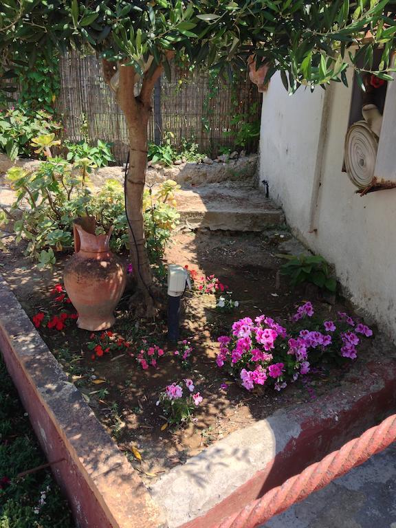 Mediterraneo Bed & Breakfast Anacapri  Exteriör bild