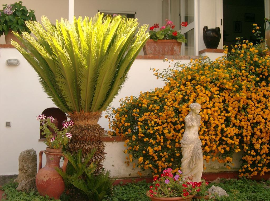 Mediterraneo Bed & Breakfast Anacapri  Exteriör bild