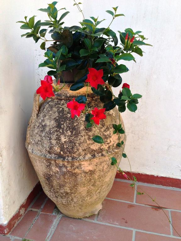 Mediterraneo Bed & Breakfast Anacapri  Exteriör bild