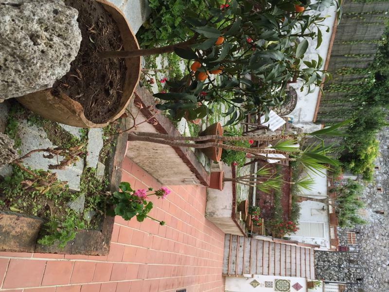 Mediterraneo Bed & Breakfast Anacapri  Exteriör bild